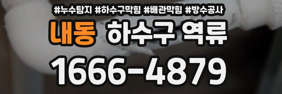 내동 하수구 역류