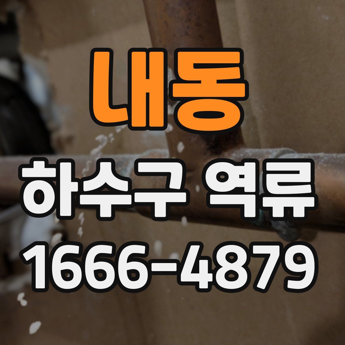 내동 하수구 역류