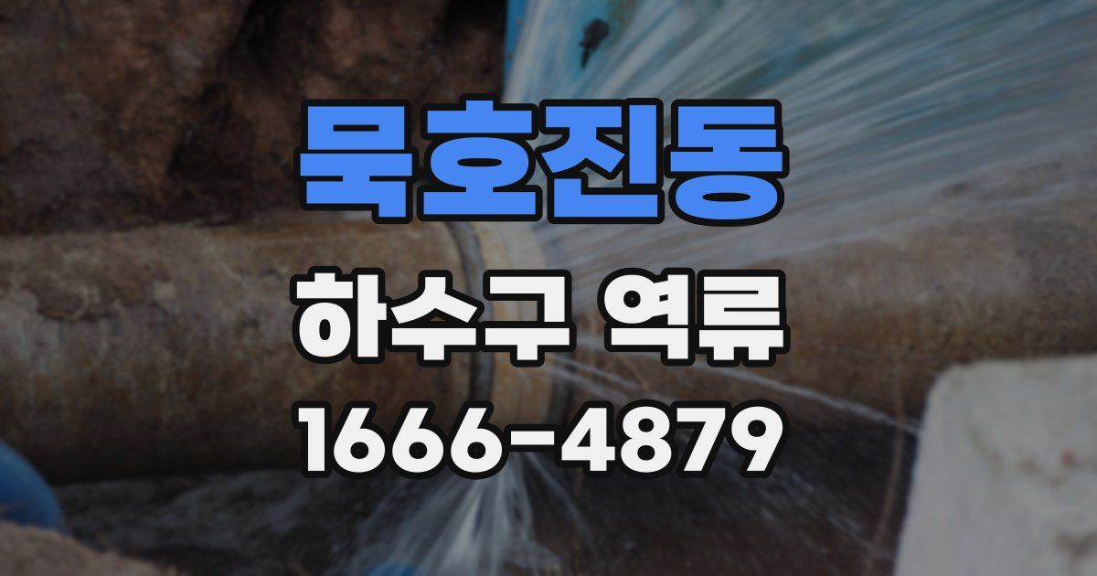 묵호진동 하수구 역류