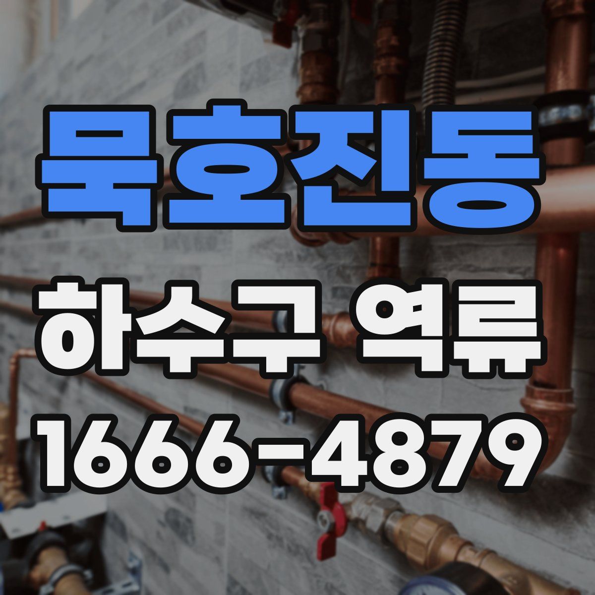 묵호진동 하수구 역류