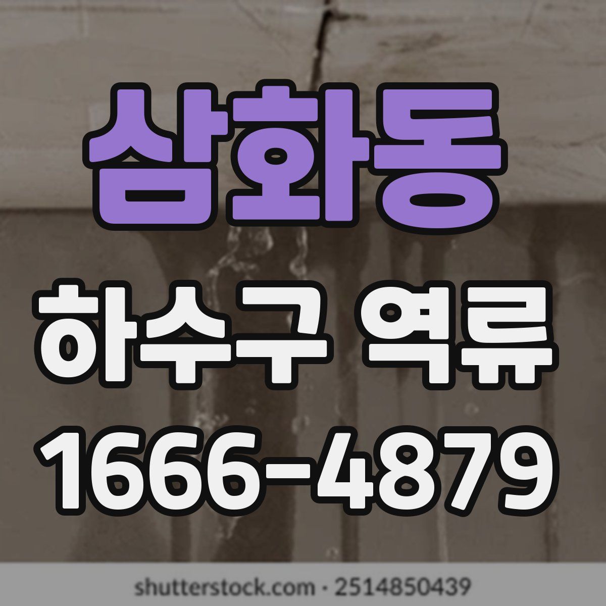 삼화동 하수구 역류