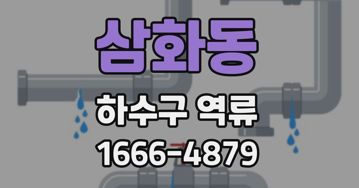 삼화동 하수구 역류