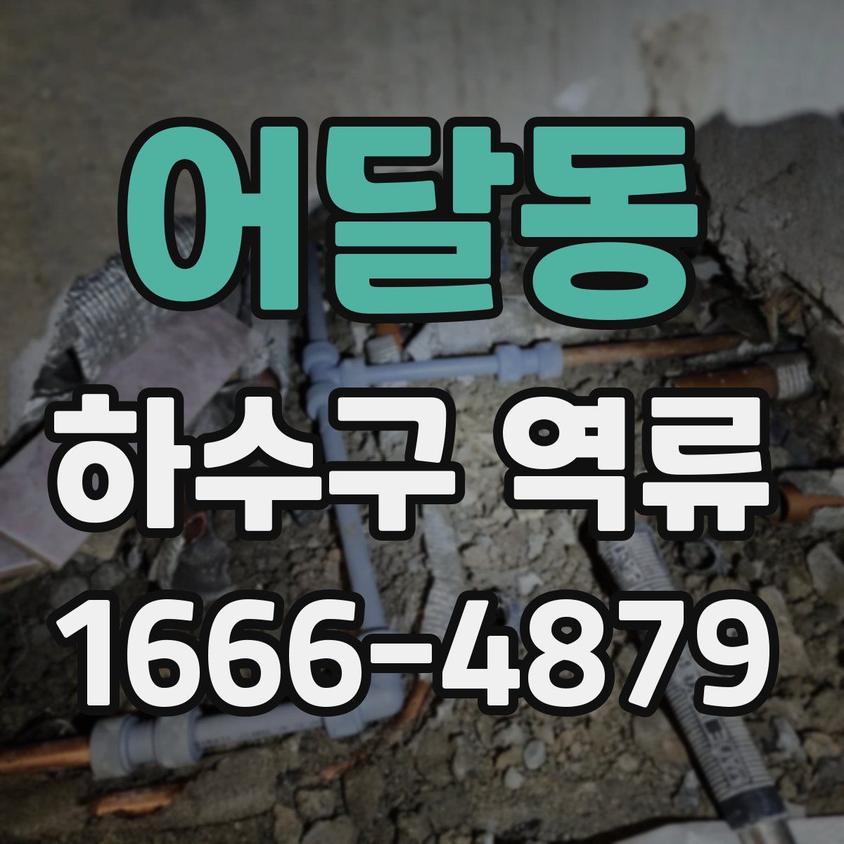 어달동 하수구 역류