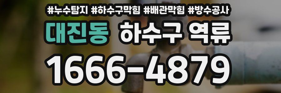 대진동 하수구 역류