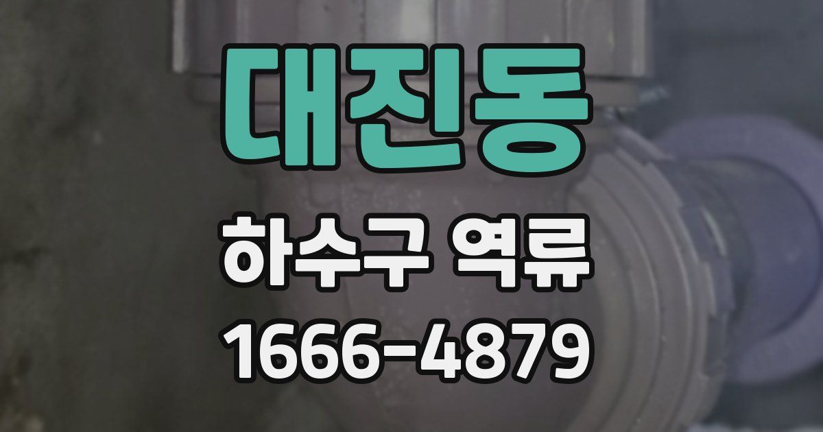 대진동 하수구 역류