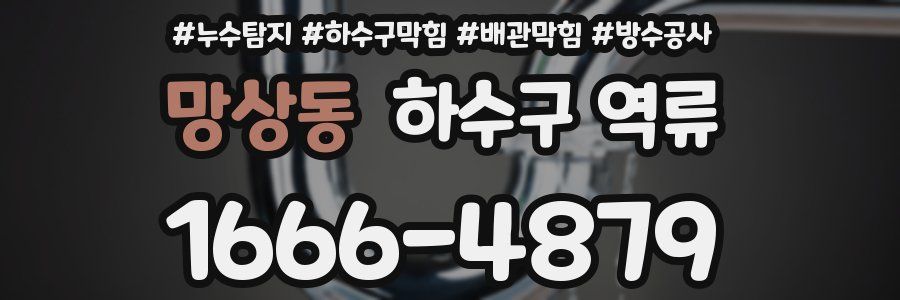 망상동 하수구 역류