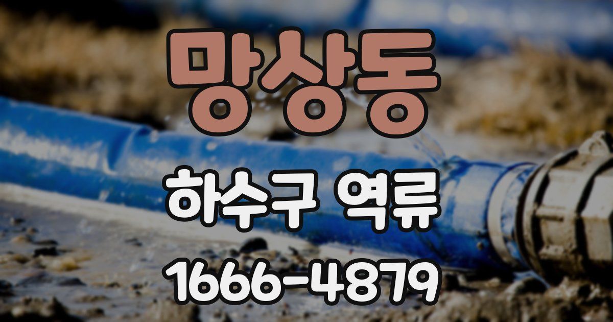 망상동 하수구 역류