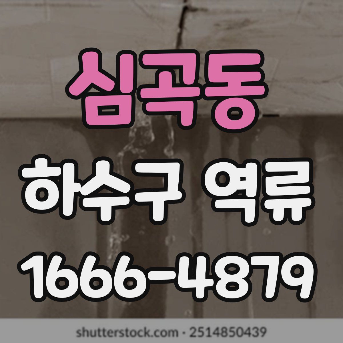 심곡동 하수구 역류