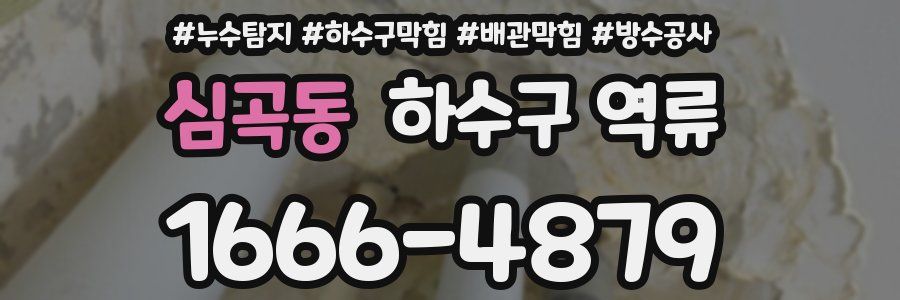 심곡동 하수구 역류