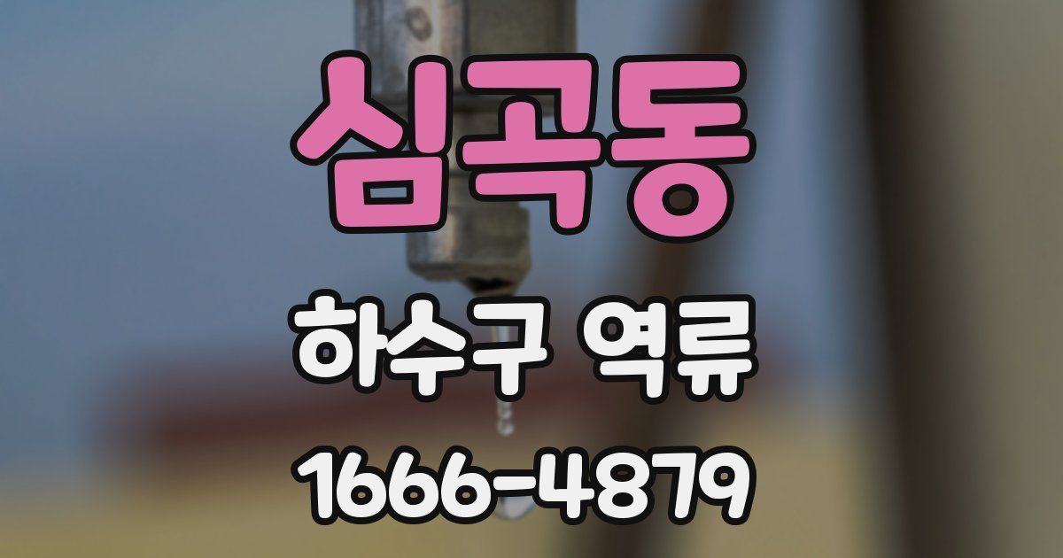 심곡동 하수구 역류