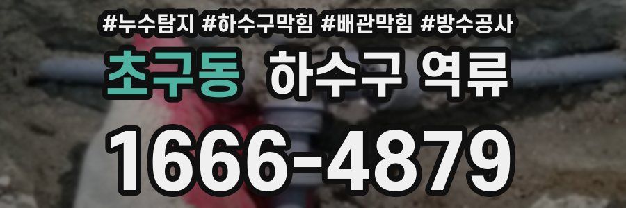 초구동 하수구 역류