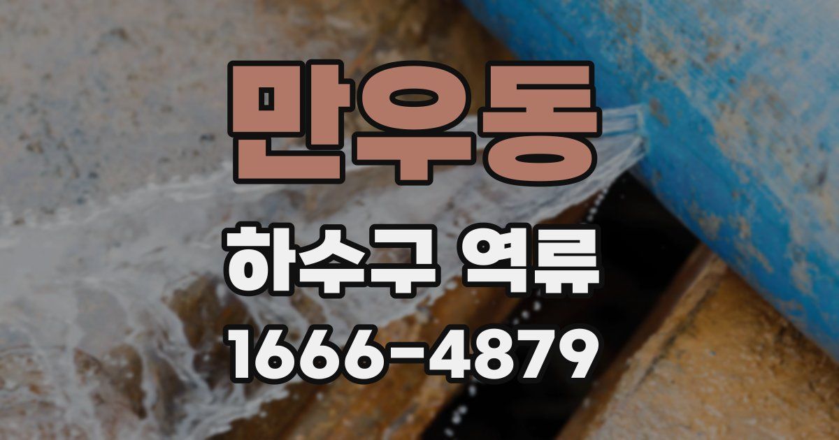 만우동 하수구 역류