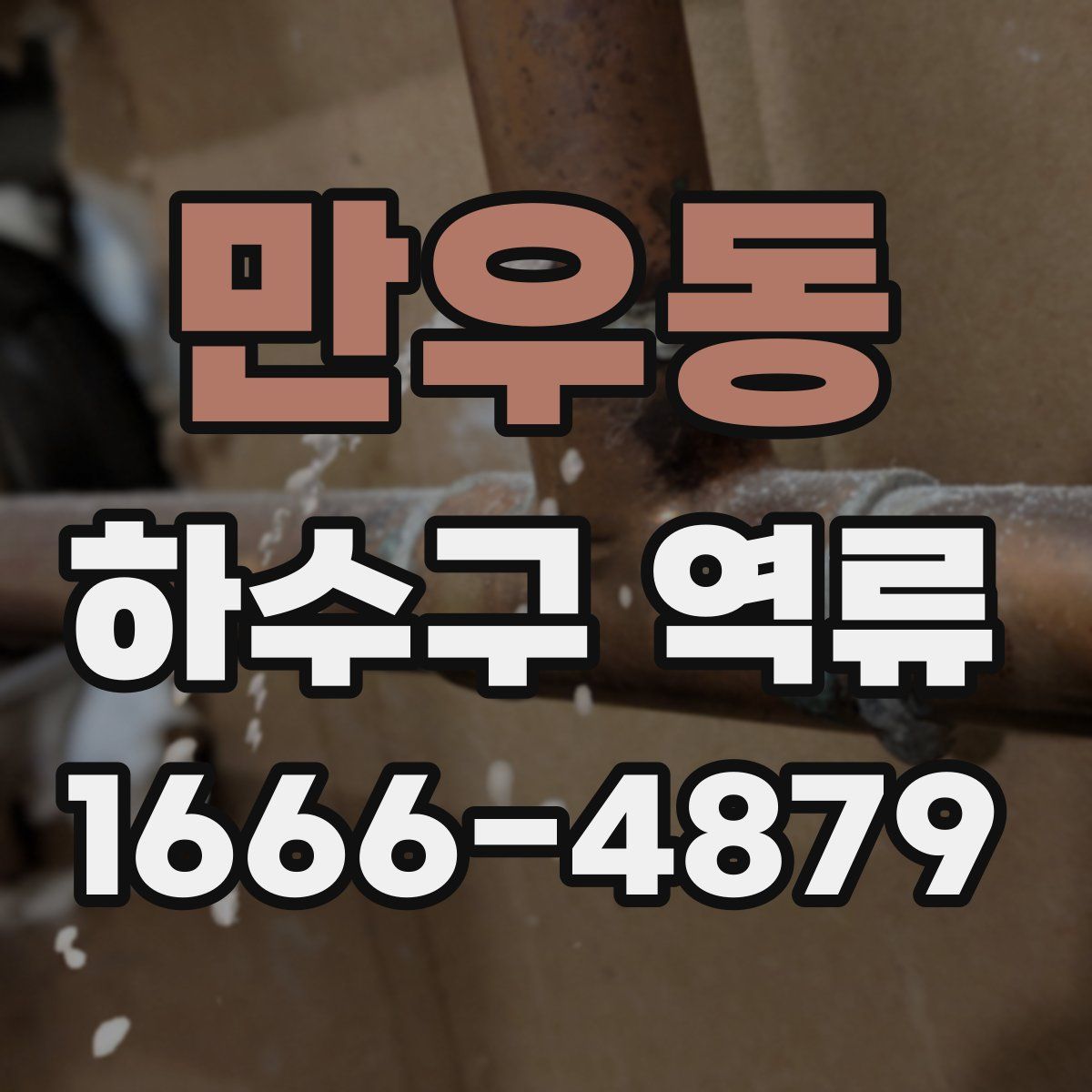 만우동 하수구 역류