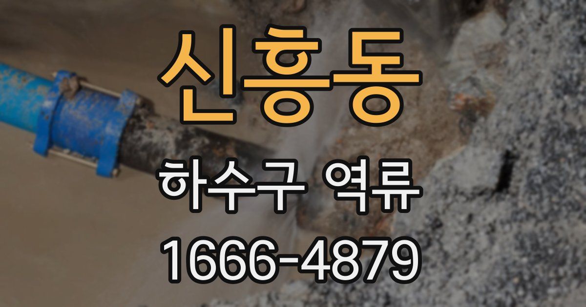 신흥동 하수구 역류