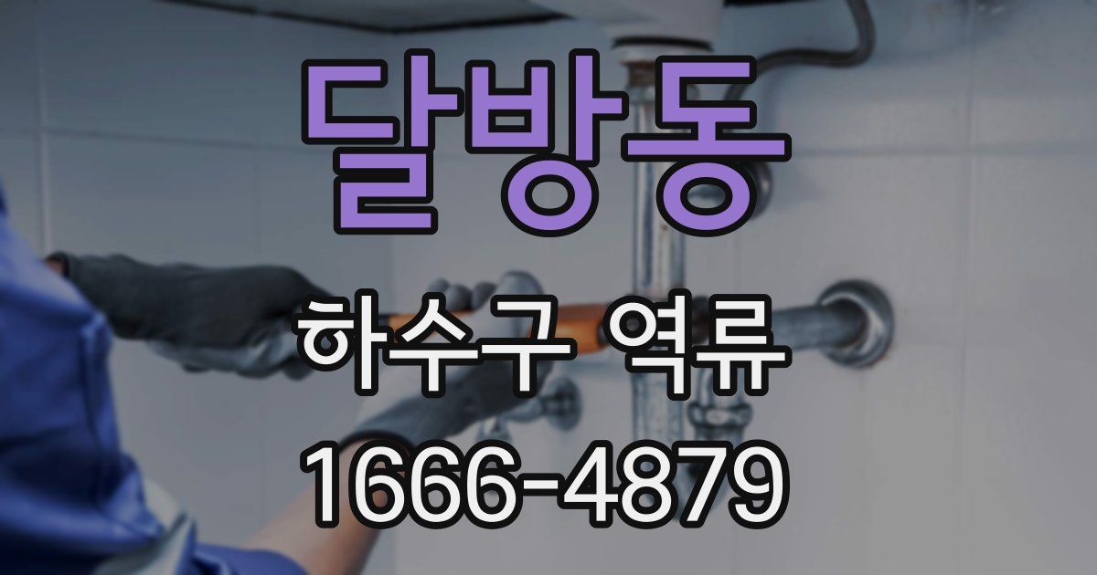 달방동 하수구 역류