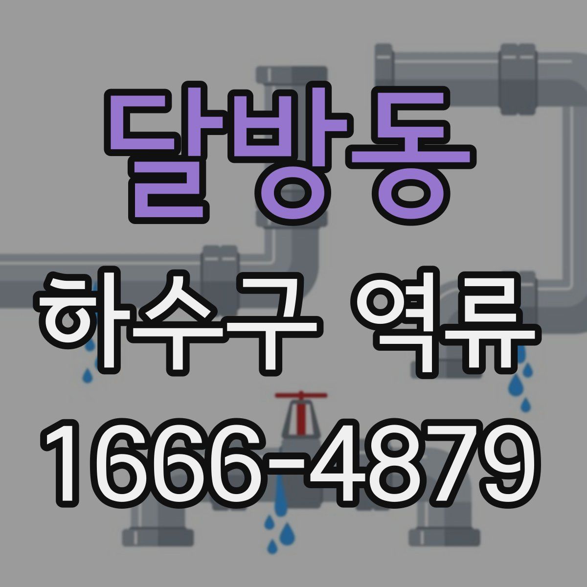 달방동 하수구 역류
