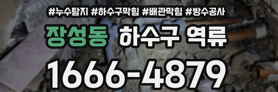 장성동 하수구 역류