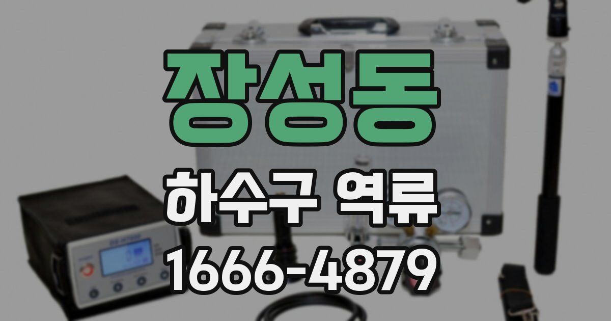 장성동 하수구 역류