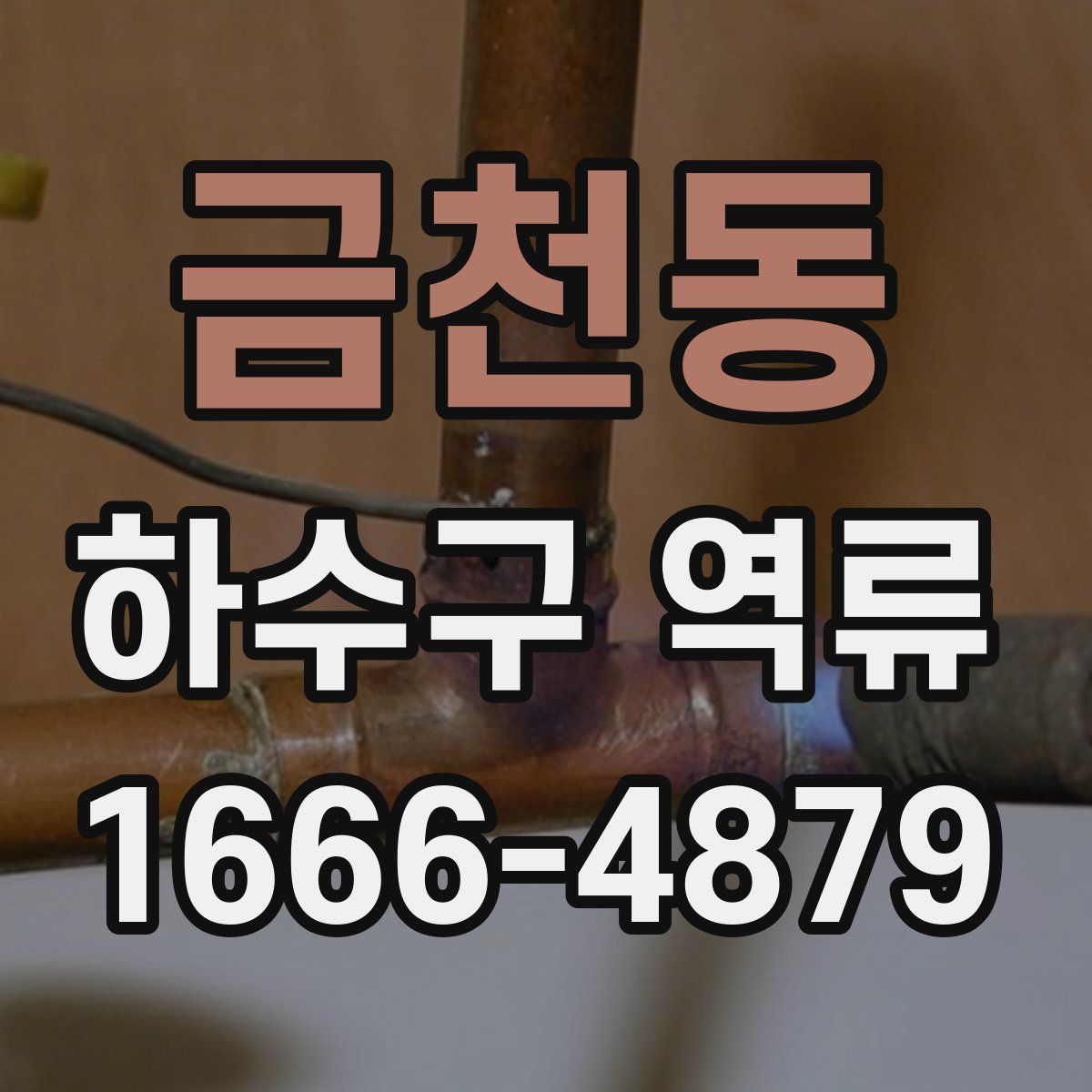 금천동 하수구 역류