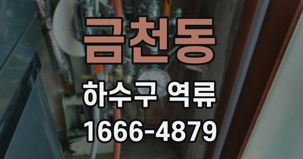 금천동 하수구 역류