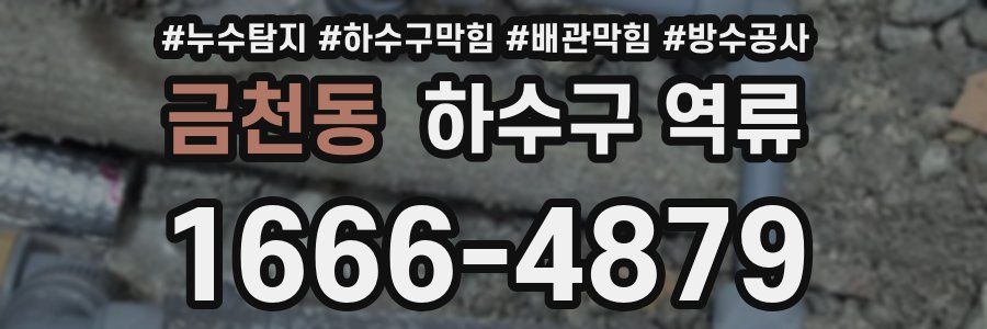 금천동 하수구 역류