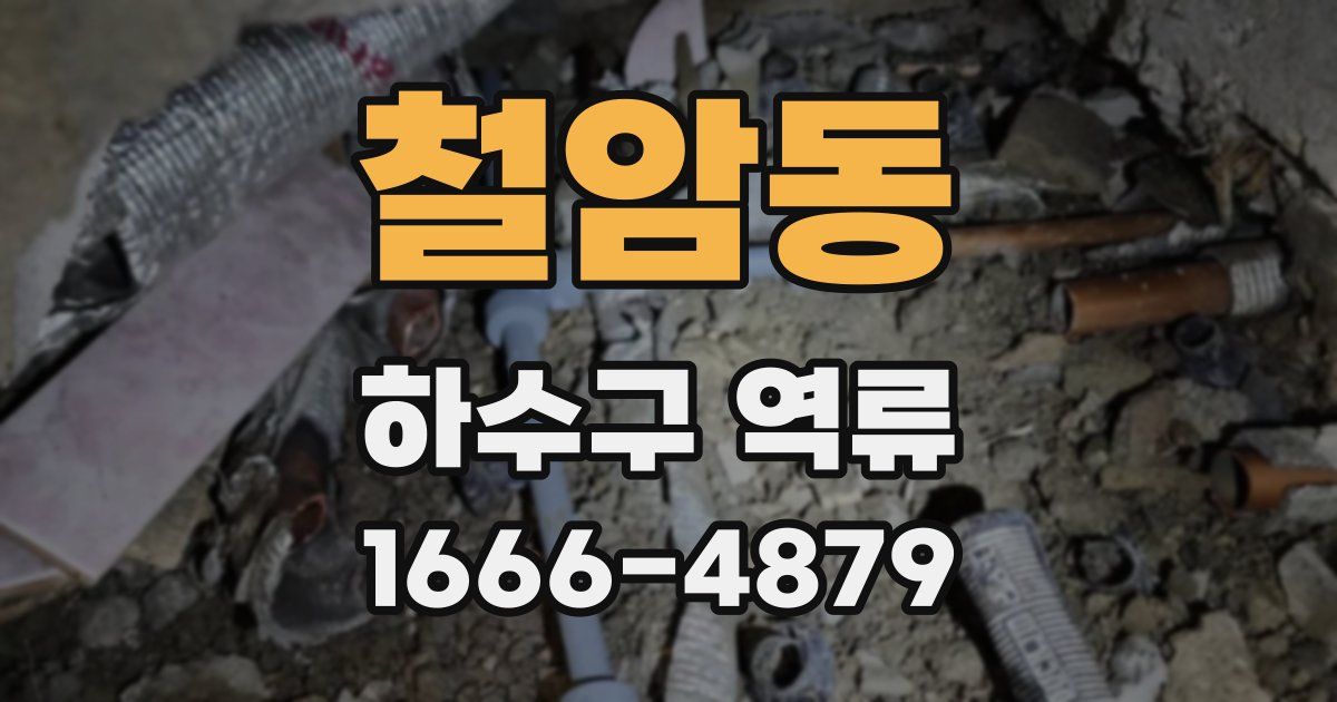 철암동 하수구 역류