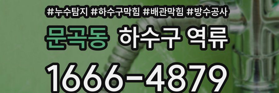 문곡동 하수구 역류