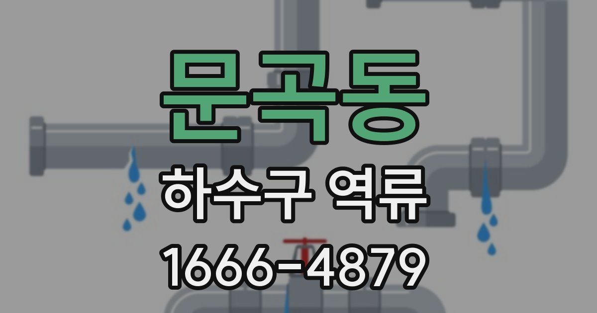 문곡동 하수구 역류