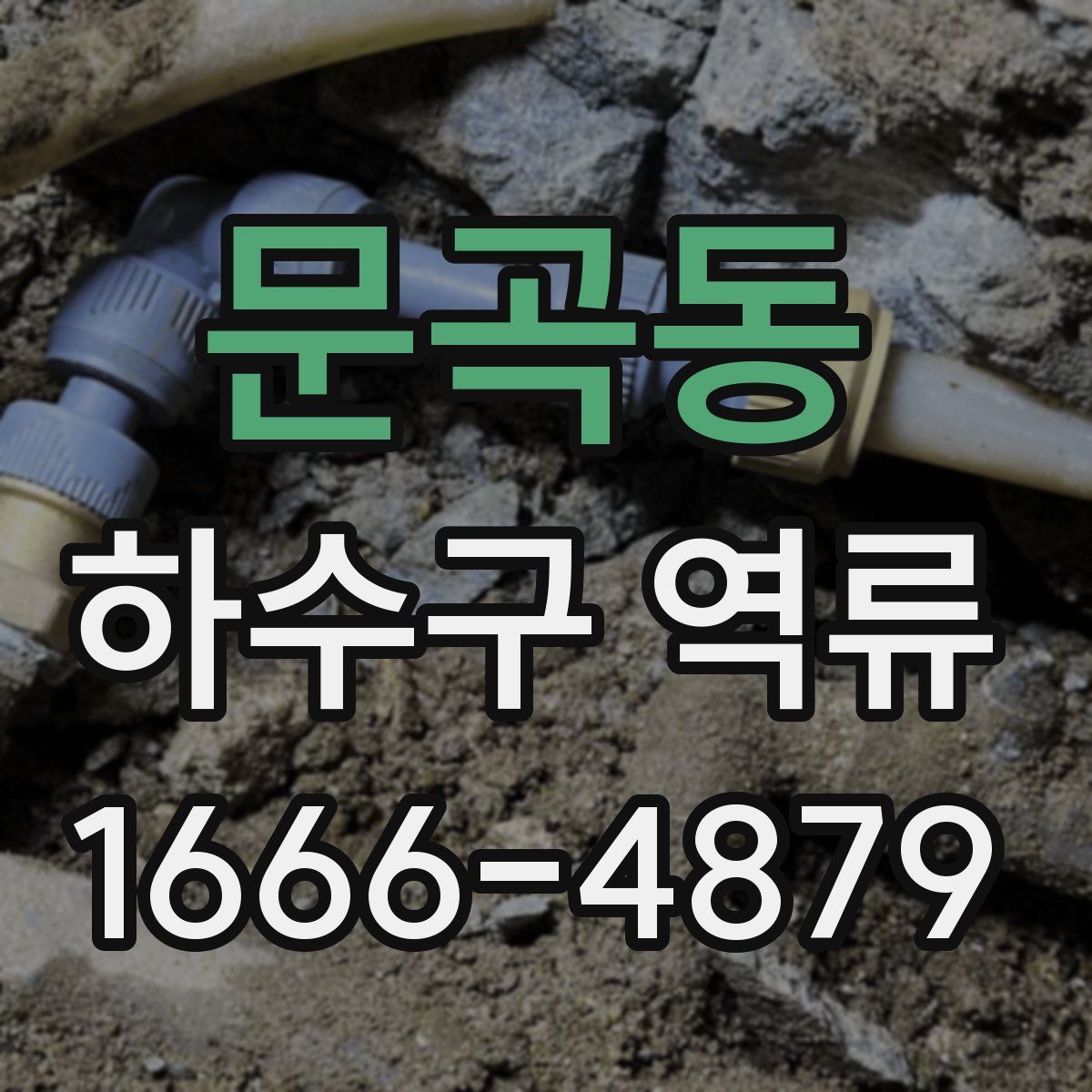 문곡동 하수구 역류