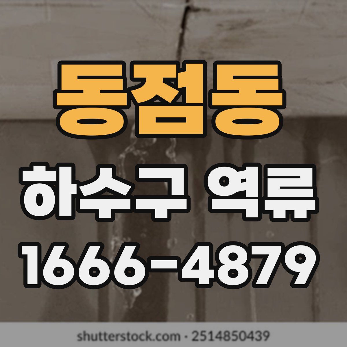 동점동 하수구 역류
