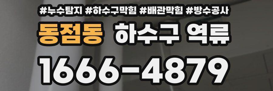 동점동 하수구 역류