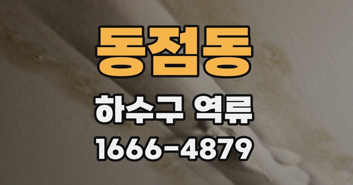 동점동 하수구 역류