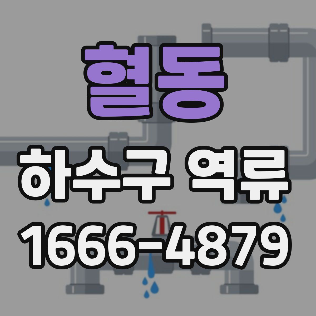 혈동 하수구 역류