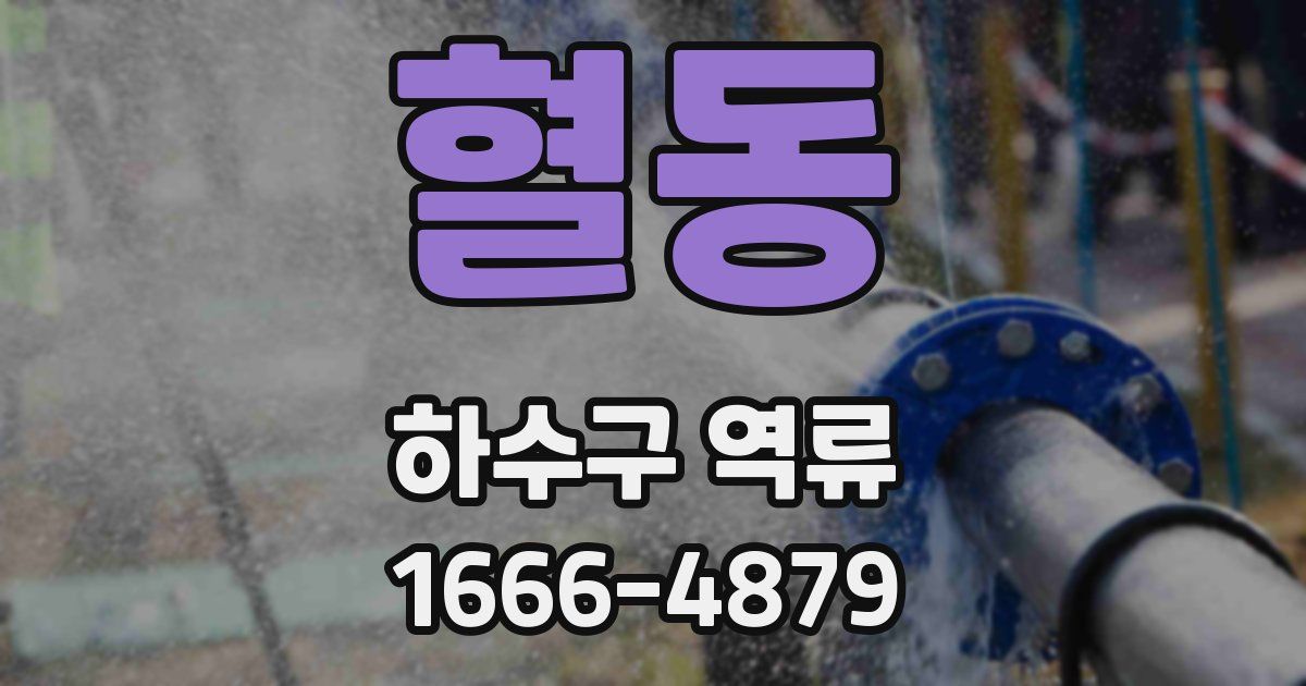 혈동 하수구 역류