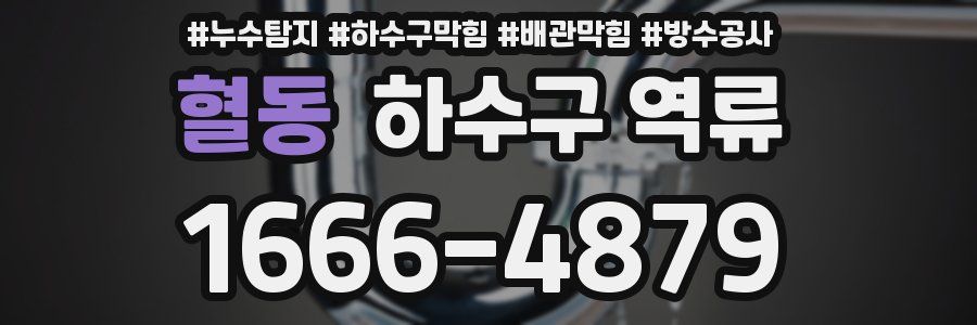 혈동 하수구 역류