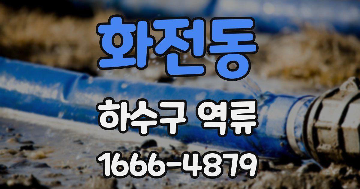 화전동 하수구 역류
