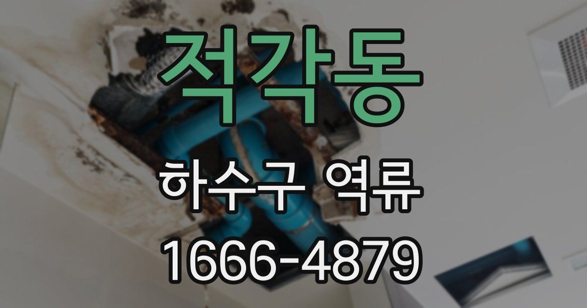 적각동 하수구 역류