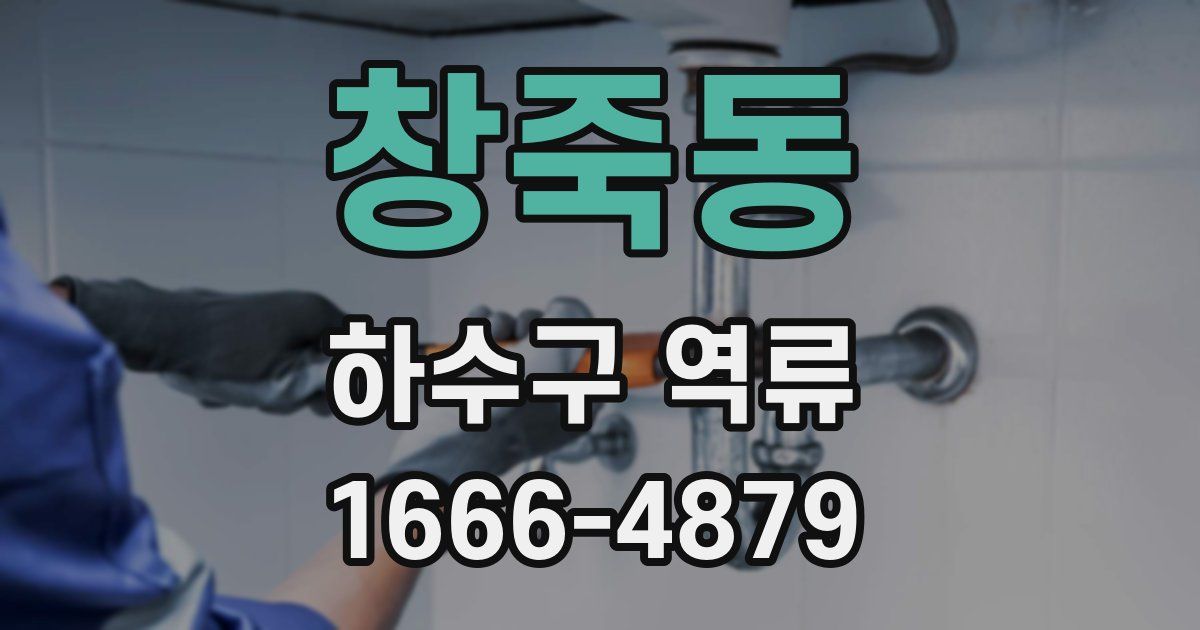 창죽동 하수구 역류
