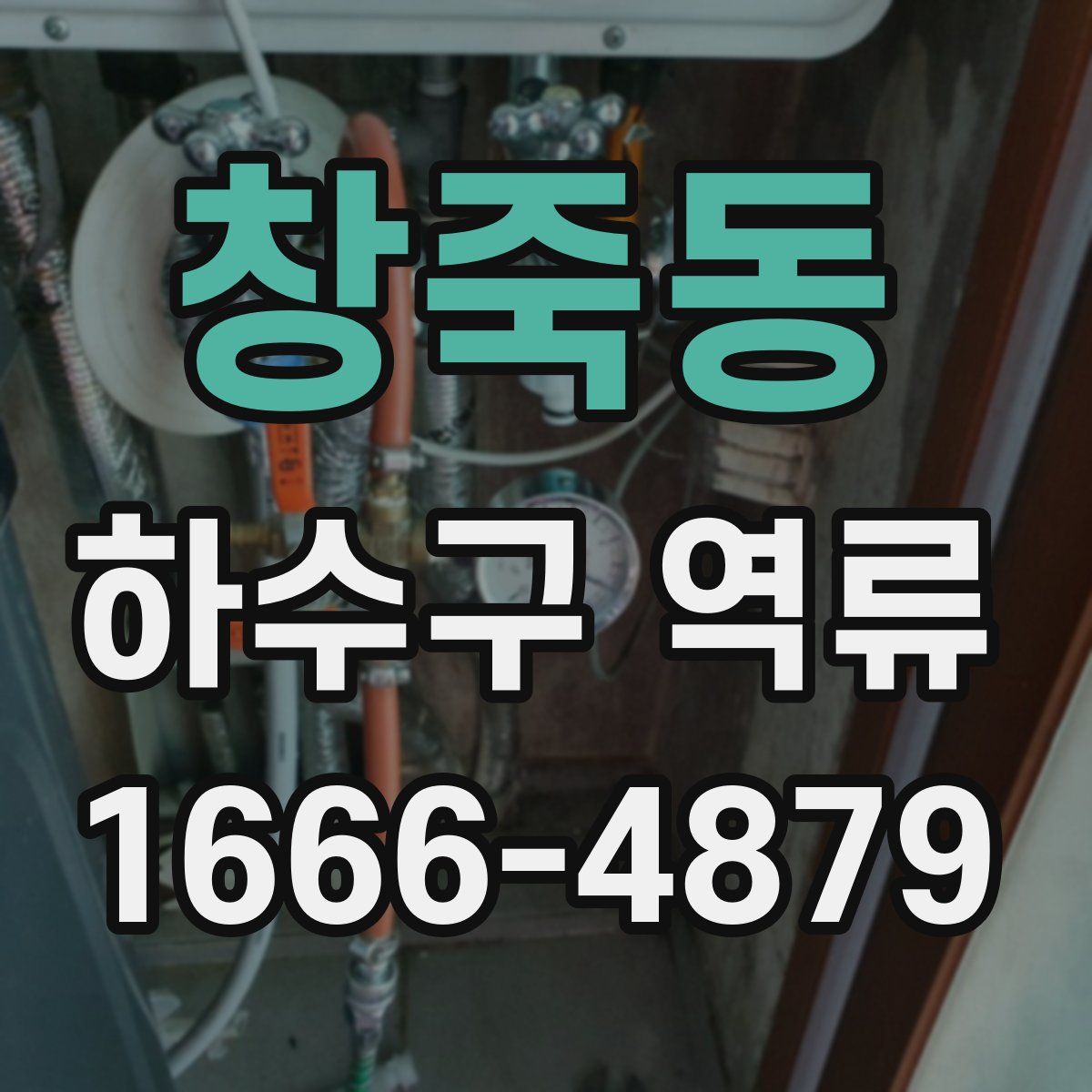 창죽동 하수구 역류