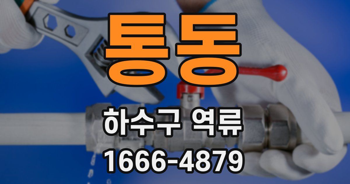 통동 하수구 역류
