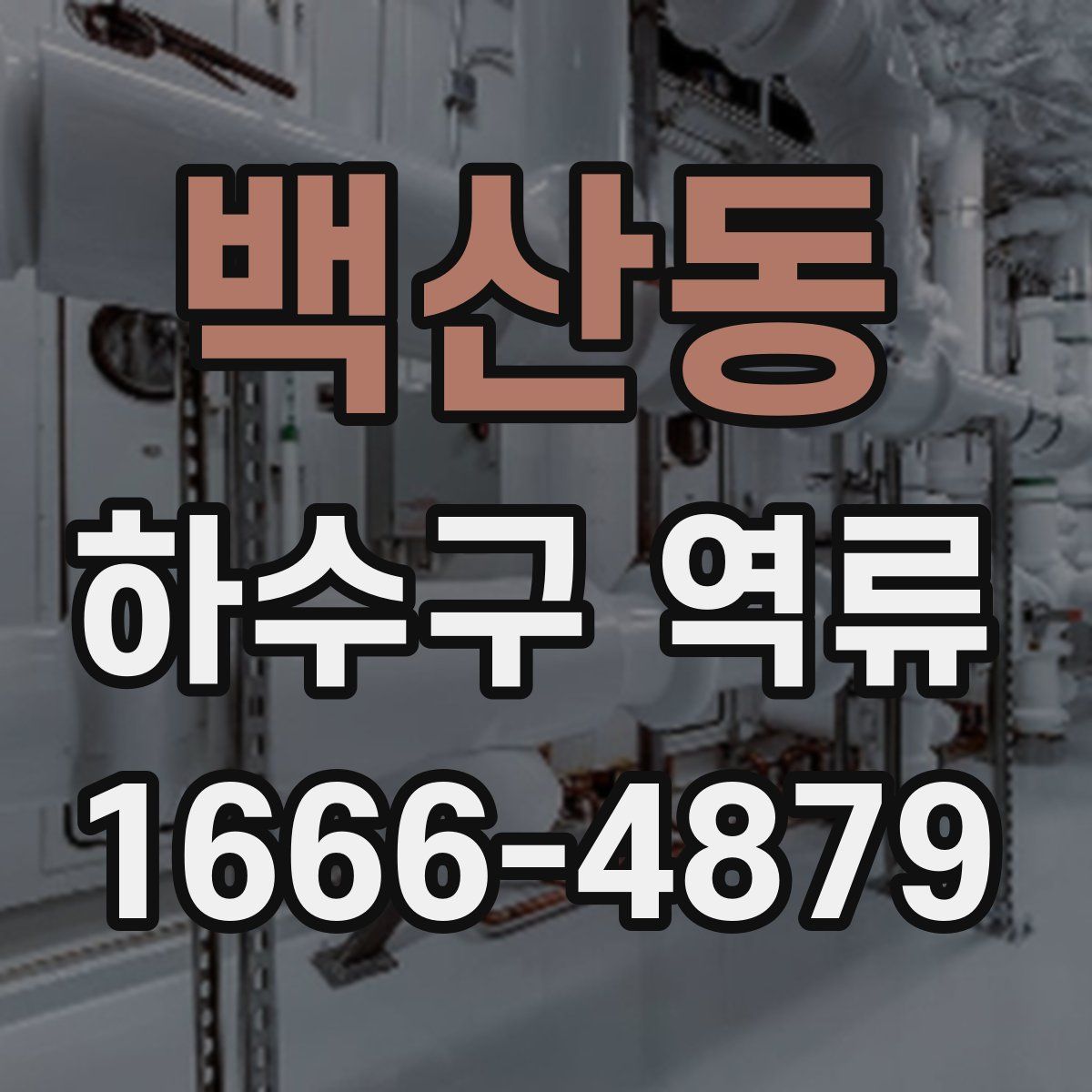 백산동 하수구 역류