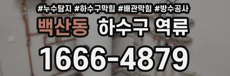 백산동 하수구 역류