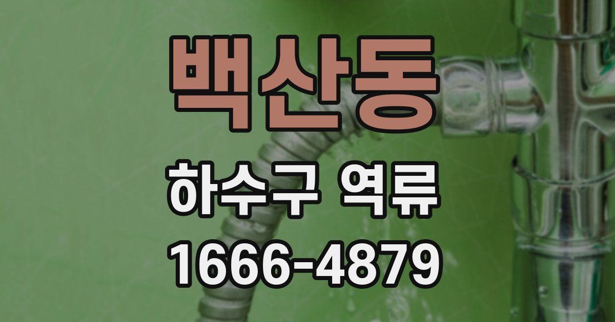 백산동 하수구 역류