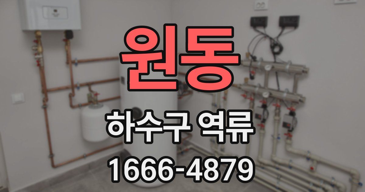 원동 하수구 역류