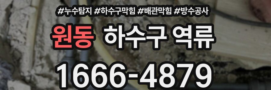 원동 하수구 역류