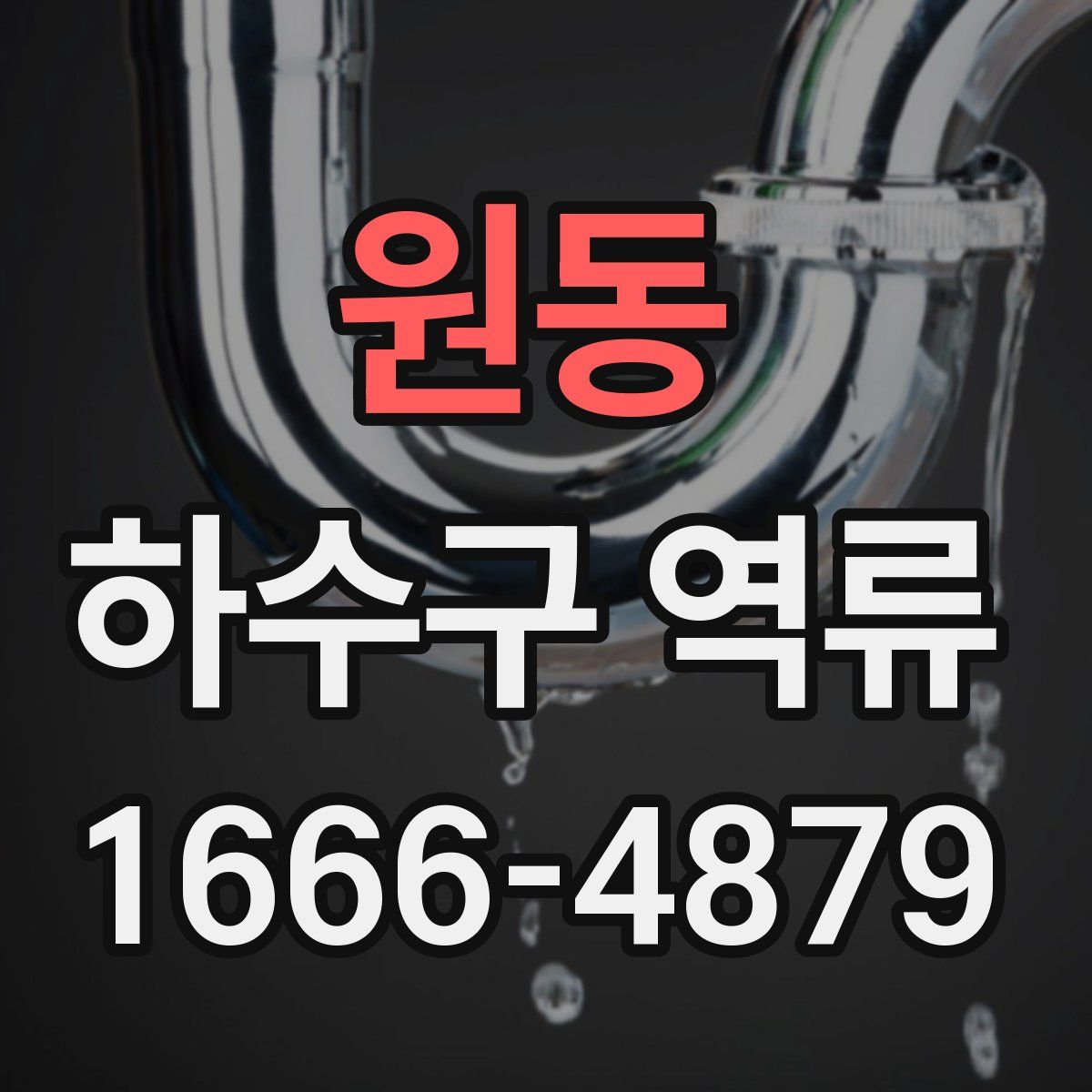 원동 하수구 역류