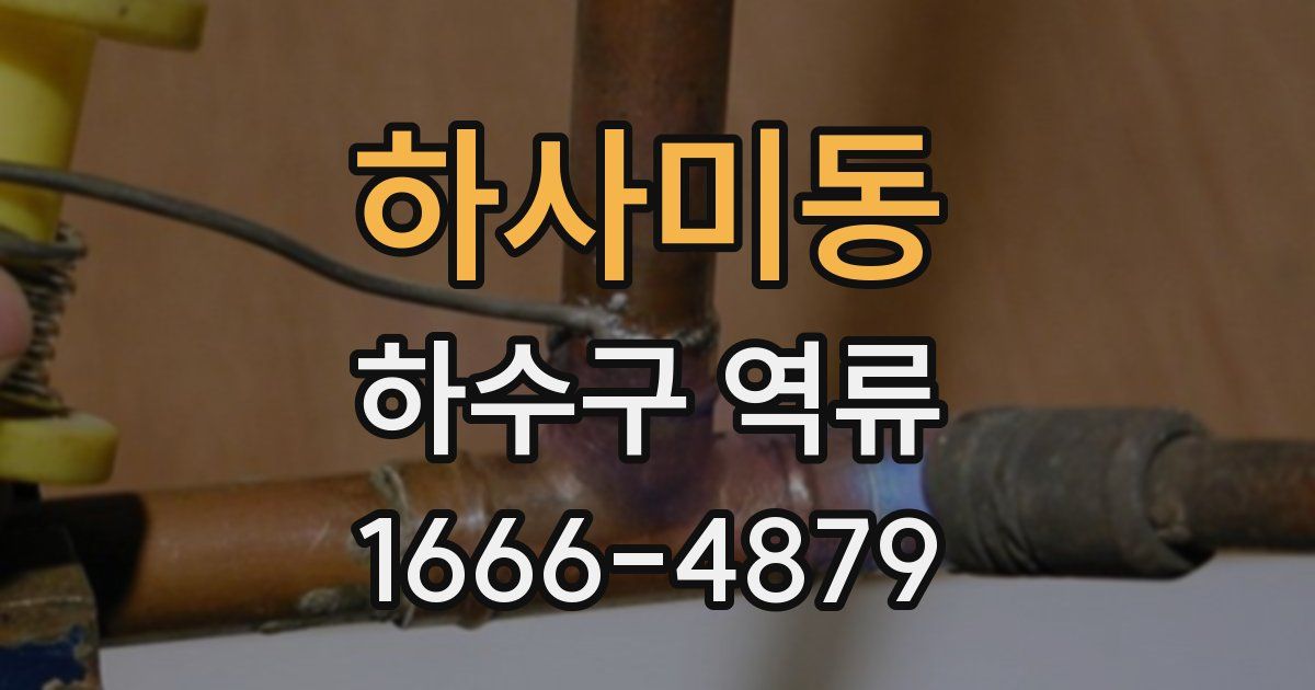 하사미동 하수구 역류