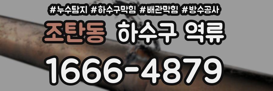 조탄동 하수구 역류