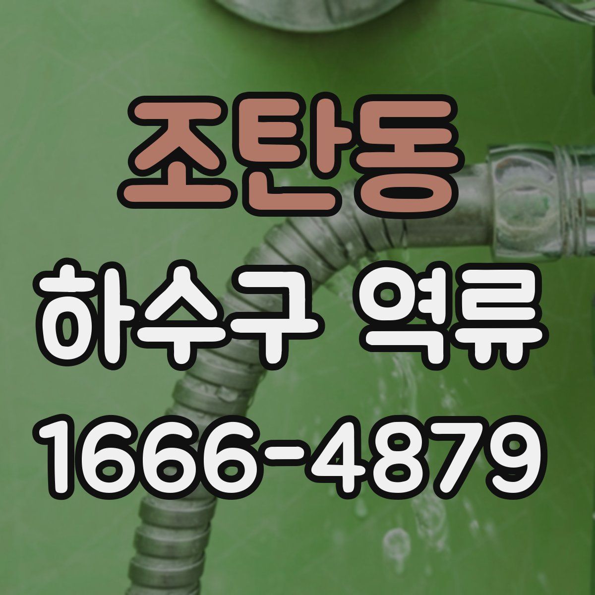 조탄동 하수구 역류