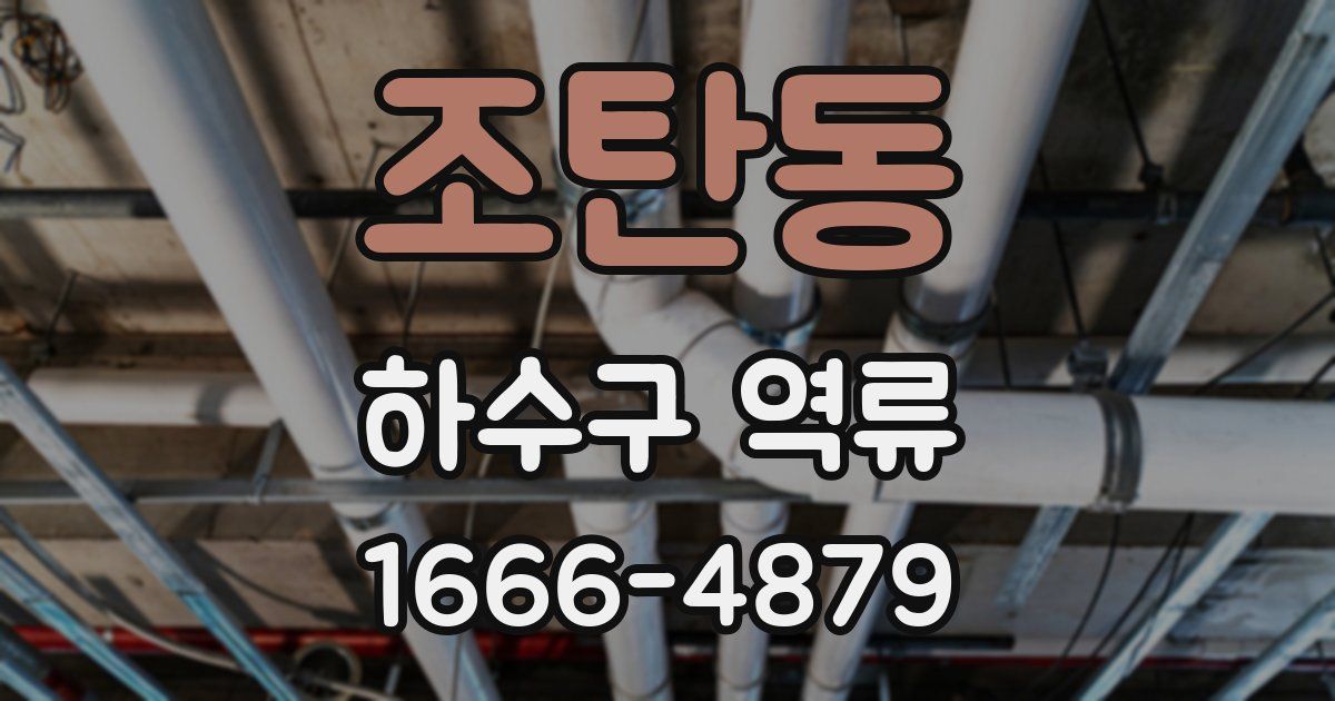 조탄동 하수구 역류